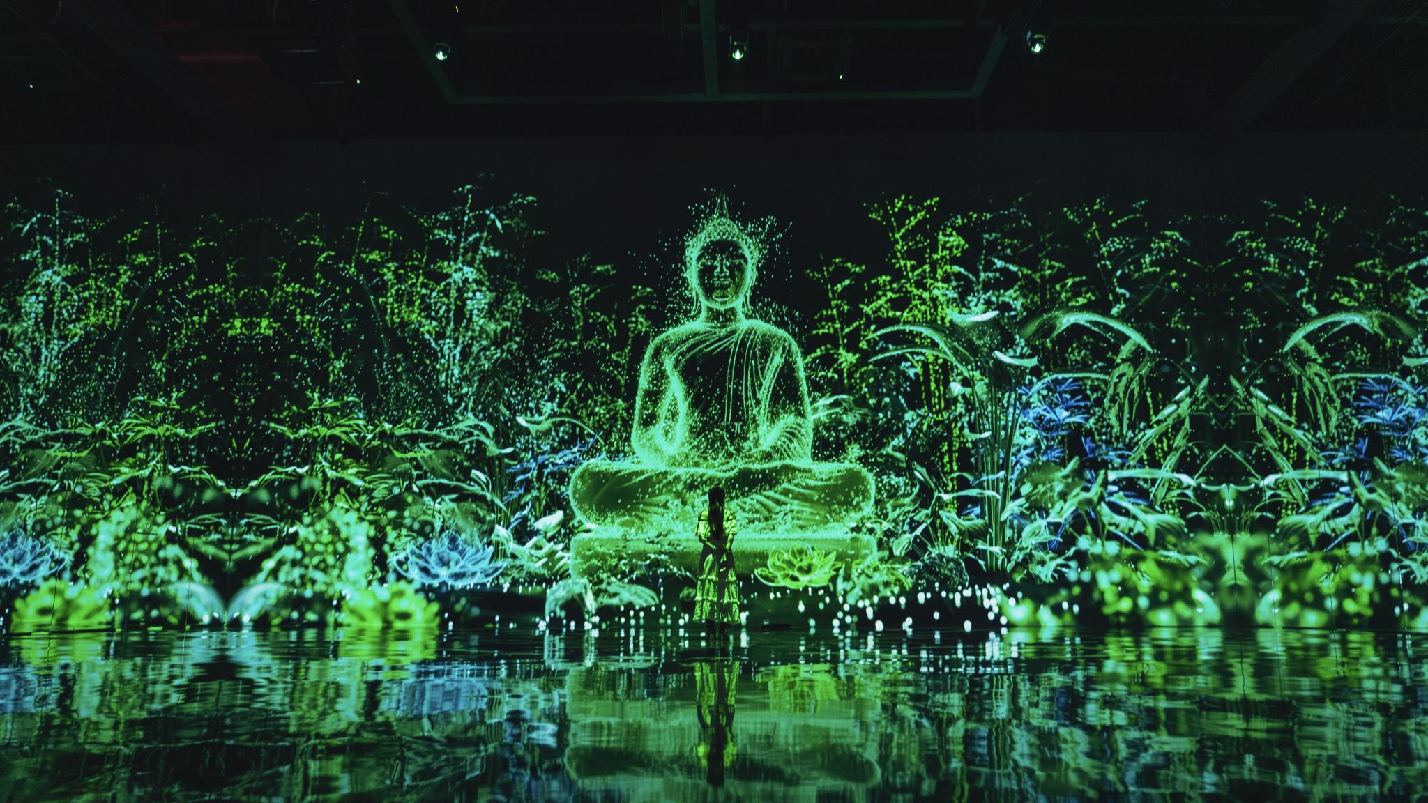 PADO Media Art Space Pattaya: An Award-Winning Immersive Journey